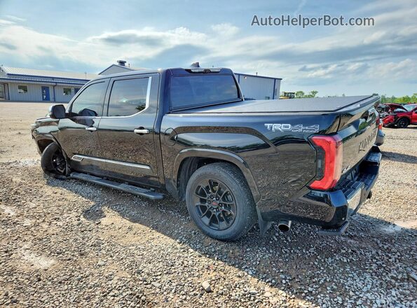 5TFMA5DB0PX120843 2023 TOYOTA TUNDRA Black უკანა მარცხენა
