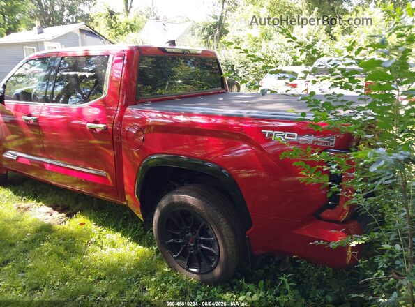 5TFMA5DB1PX085133 2023 TOYOTA TUNDRA Red Tył lewy
