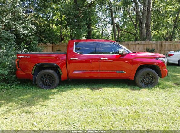 5TFMA5DB1PX085133 2023 TOYOTA TUNDRA Red Widok wnętrza 360 stopni