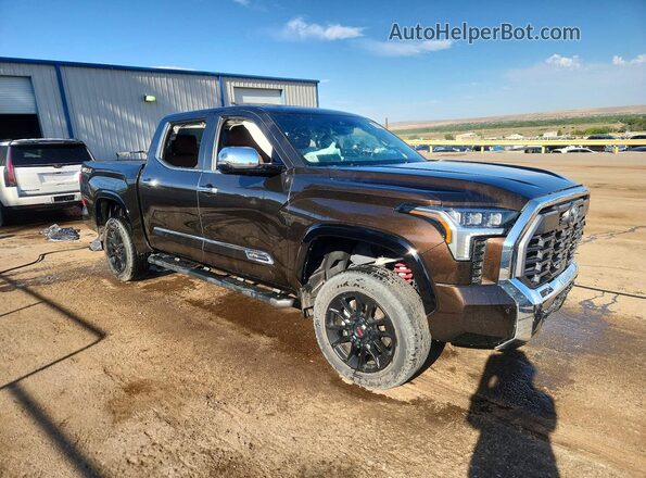 5TFMA5DB1SX268914 2025 TOYOTA TUNDRA Brown Front right