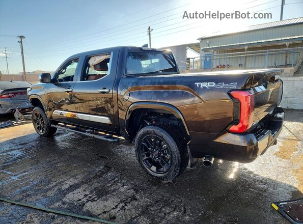 5TFMA5DB1SX268914 2025 TOYOTA TUNDRA Brown Rear left
