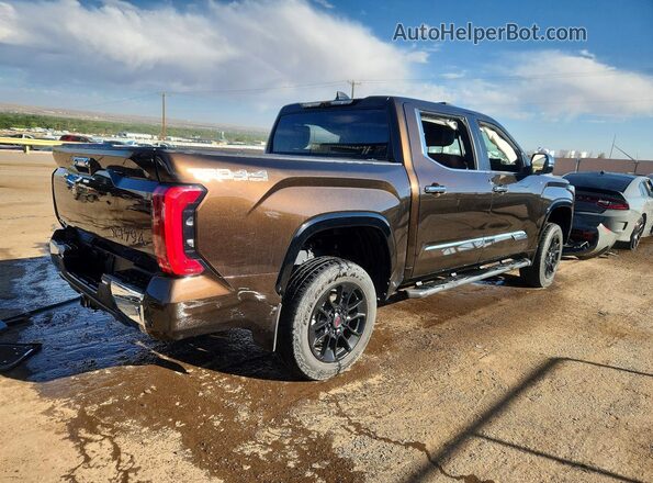 5TFMA5DB1SX268914 2025 TOYOTA TUNDRA Brown Rear right