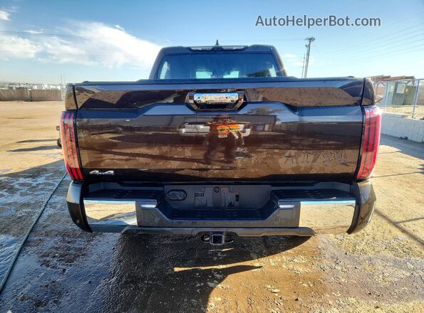 5TFMA5DB1SX268914 2025 TOYOTA TUNDRA Brown Rear view