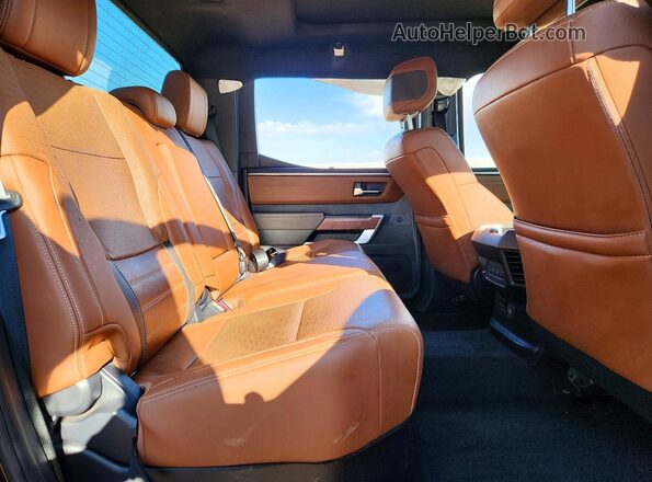 5TFMA5DB1SX268914 2025 TOYOTA TUNDRA Brown Rear seats view