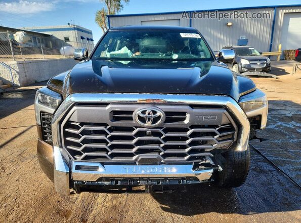 5TFMA5DB1SX268914 2025 TOYOTA TUNDRA Brown Front view