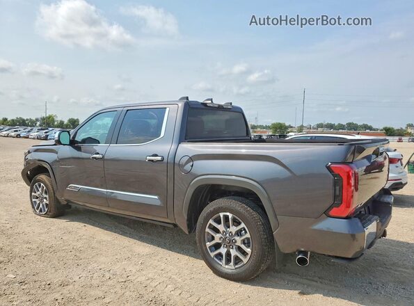 5TFMA5DB7TX371269 2026 TOYOTA TUNDRA Gray უკანა მარცხენა