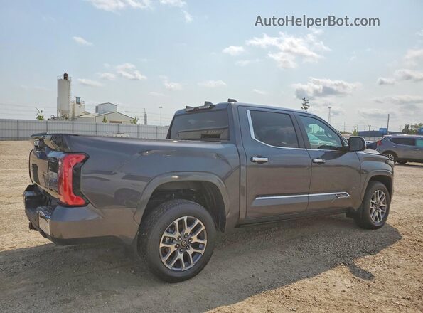 5TFMA5DB7TX371269 2026 TOYOTA TUNDRA Gray უკანა მარჯვენა