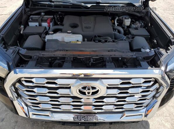 5TFMA5DB8SX311855 2025 TOYOTA TUNDRA Brown Вид задньої частини салону
