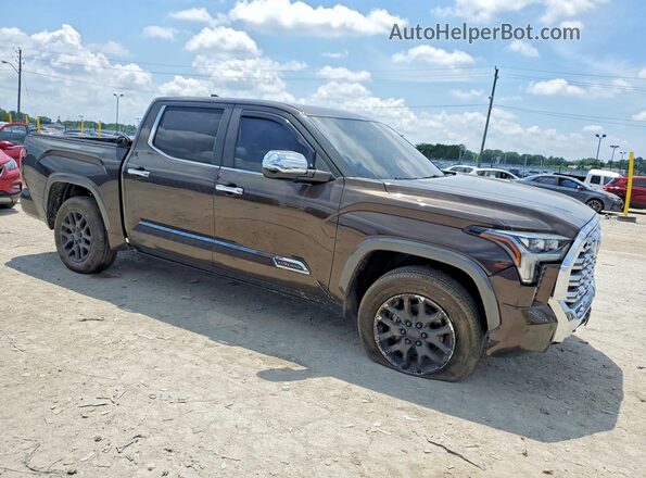 5TFMA5DB8SX311855 2025 TOYOTA TUNDRA Brown Передня права чверть