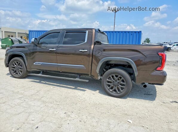 5TFMA5DB8SX311855 2025 TOYOTA TUNDRA Brown Задня ліва чверть