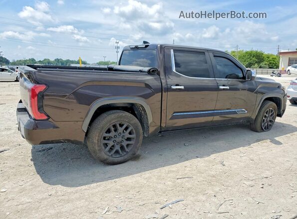 5TFMA5DB8SX311855 2025 TOYOTA TUNDRA Brown Задня права чверть