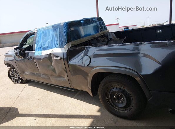 5TFMA5EC3SX042378 2025 TOYOTA TUNDRA Черный Панорамный вид салона 360°