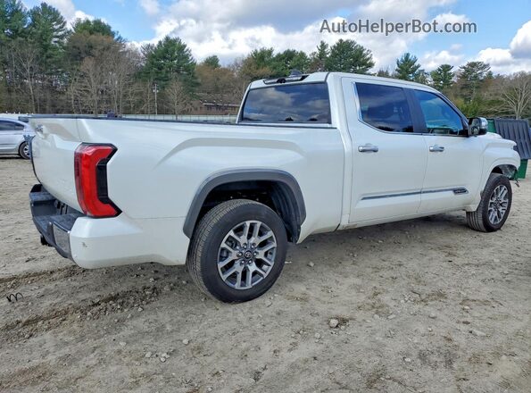5TFMA5EC6SX043007 2025 TOYOTA TUNDRA White Trasero derecho