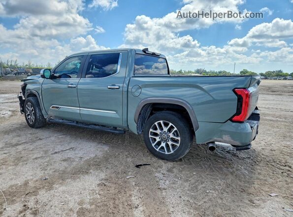 5TFMC5AB5RX003762 2024 TOYOTA TUNDRA Зеленый Задняя левая четверть