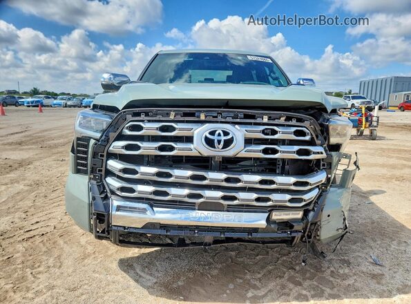 5TFMC5AB5RX003762 2024 TOYOTA TUNDRA Зеленый Вид спереди