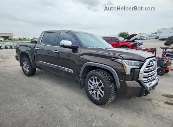 5TFMC5DB2RX069875 2024 TOYOTA TUNDRA Brown Front right