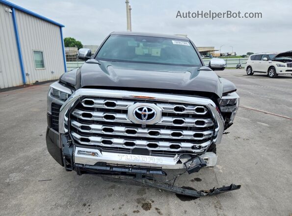 5TFMC5DB2RX069875 2024 TOYOTA TUNDRA Brown Front view
