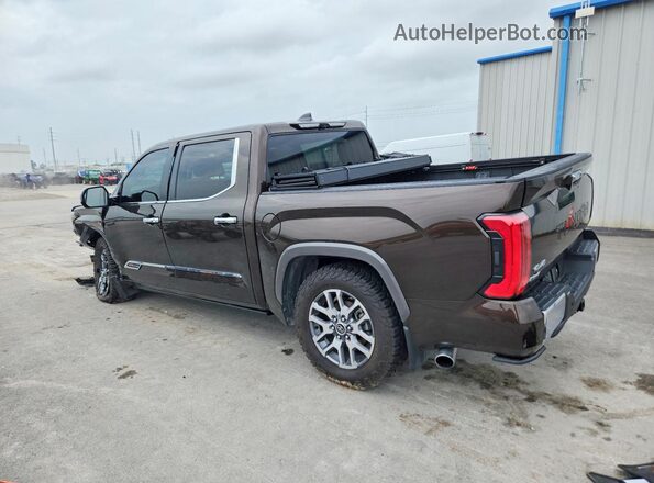 5TFMC5DB2RX069875 2024 TOYOTA TUNDRA Brown Rear left