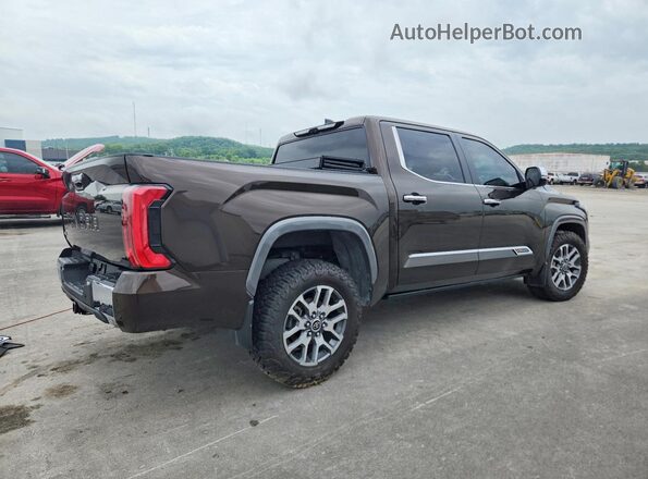 5TFMC5DB2RX069875 2024 TOYOTA TUNDRA Brown Rear right