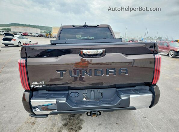 5TFMC5DB2RX069875 2024 TOYOTA TUNDRA Brown Rear view