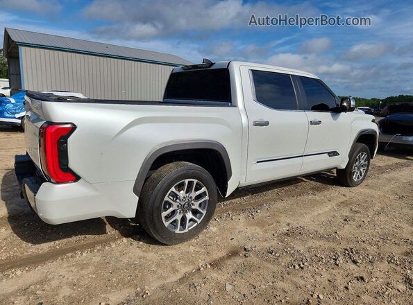 5TFMC5DB3SX093074 2025 TOYOTA TUNDRA White Հետևի աջ