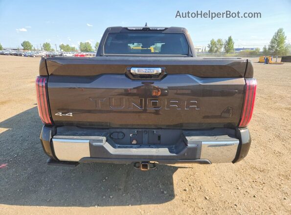 5TFMC5DB6NX006689 2022 TOYOTA TUNDRA Brown Սալոնի հետևի տեսք