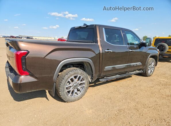 5TFMC5DB6NX006689 2022 TOYOTA TUNDRA Brown Հետևի տեսք