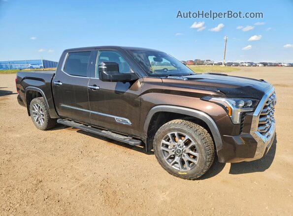 5TFMC5DB6NX006689 2022 TOYOTA TUNDRA Brown Առջևի վահանակի տեսք