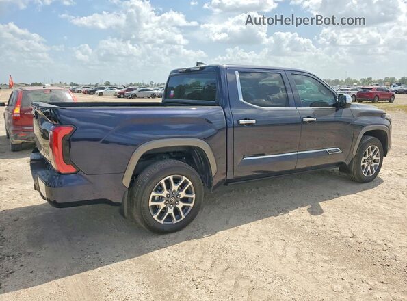 5TFMC5DB7SX096849 2025 TOYOTA TUNDRA Blue Задня права чверть
