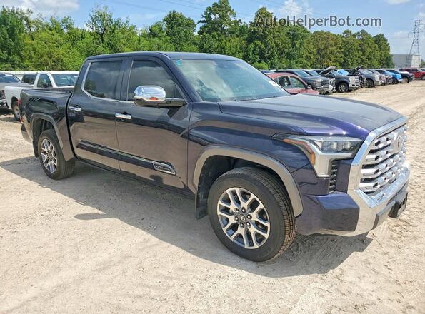 5TFMC5DB7SX096849 2025 TOYOTA TUNDRA Blue Передня права чверть