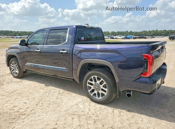 5TFMC5DB7SX096849 2025 TOYOTA TUNDRA Blue Задня ліва чверть