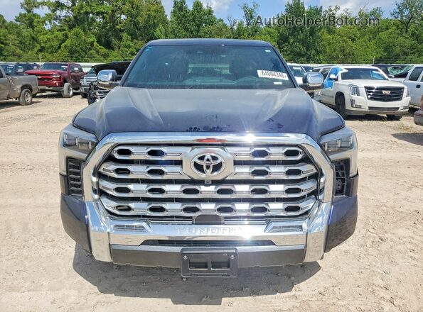5TFMC5DB7SX096849 2025 TOYOTA TUNDRA Blue Вид спереду