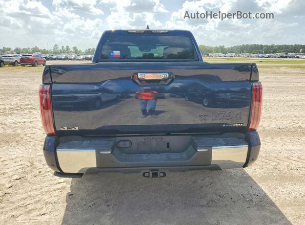 5TFMC5DB7SX096849 2025 TOYOTA TUNDRA Blue Вид ззаду