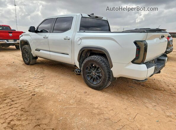 5TFMC5DB8SX100634 2025 TOYOTA TUNDRA White Հետևի ձախ