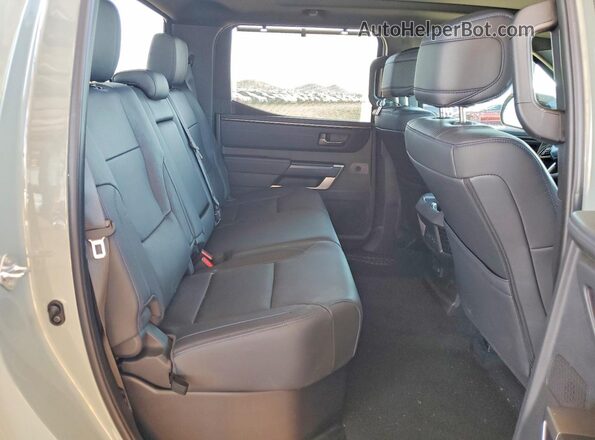 5TFNA5DB1TX418042 2026 TOYOTA TUNDRA Серый Вид задних сидений