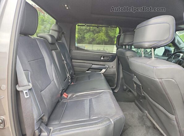 5TFNA5DB3RX184785 2024 TOYOTA TUNDRA Серый Вид задних сидений