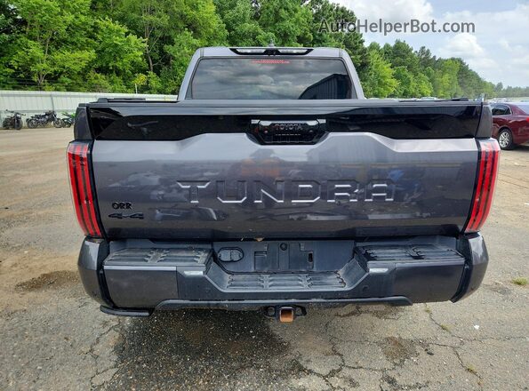 5TFNA5DB3RX184785 2024 TOYOTA TUNDRA Серый Вид сзади