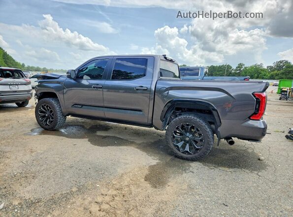 5TFNA5DB3RX184785 2024 TOYOTA TUNDRA Серый Задняя левая четверть