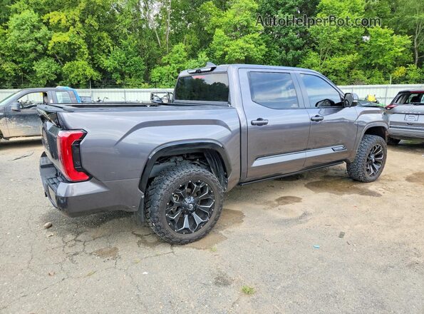 5TFNA5DB3RX184785 2024 TOYOTA TUNDRA Серый Задняя правая четверть