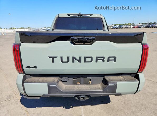 5TFNA5DB4RX232228 2024 TOYOTA TUNDRA Green Вид ззаду