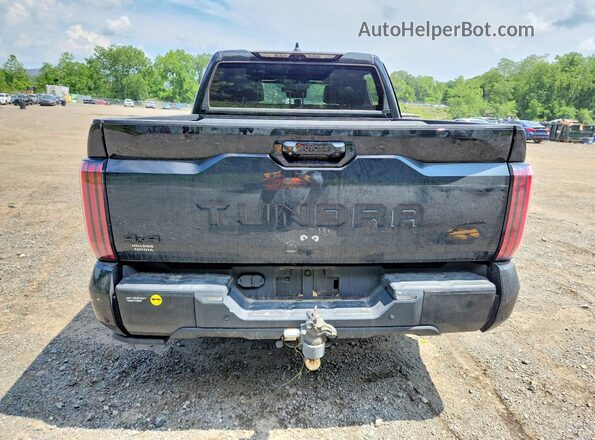 5TFNA5DBXRX164484 2024 TOYOTA TUNDRA Черный Вид сзади