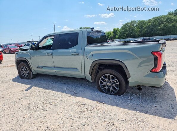 5TFNA5DBXTX372579 2026 TOYOTA TUNDRA Зеленый Задняя левая четверть