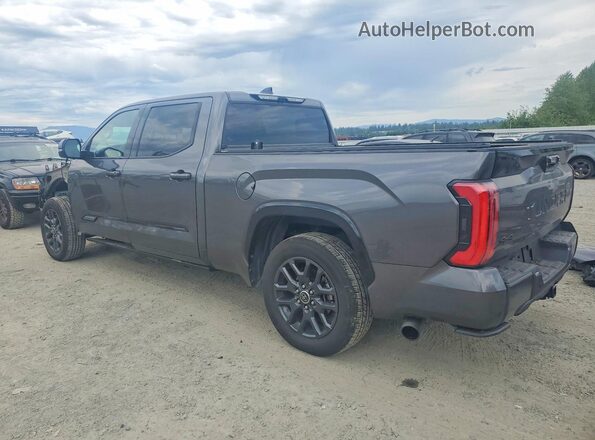 5TFNA5EC8PX013969 2023 TOYOTA TUNDRA Gray Trasero izquierdo