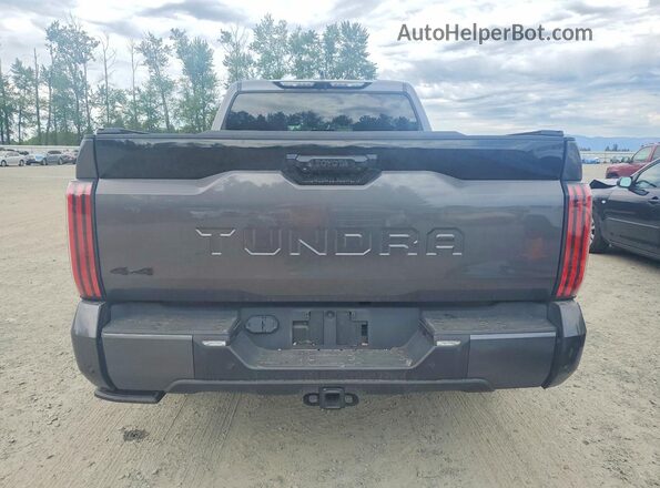 5TFNA5EC8PX013969 2023 TOYOTA TUNDRA Gray Vista trasera