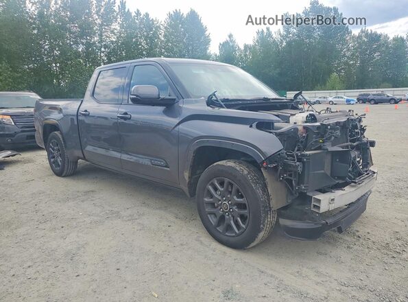 5TFNA5EC8PX013969 2023 TOYOTA TUNDRA Gray Delantero derecho