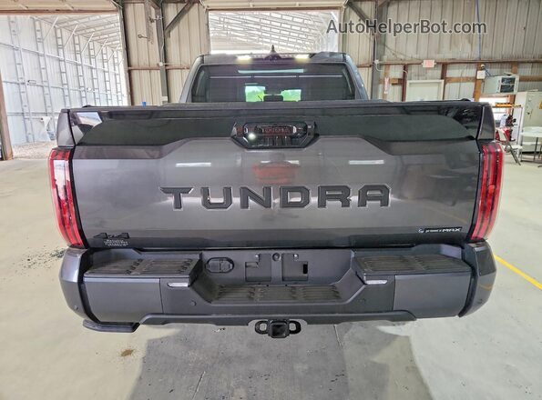 5TFNC5DB0TX117241 2026 TOYOTA TUNDRA Charcoal Widok z tyłu