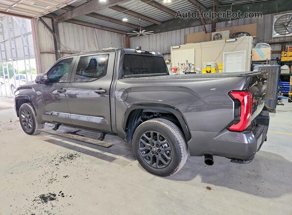 5TFNC5DB0TX117241 2026 TOYOTA TUNDRA Charcoal Tył lewy