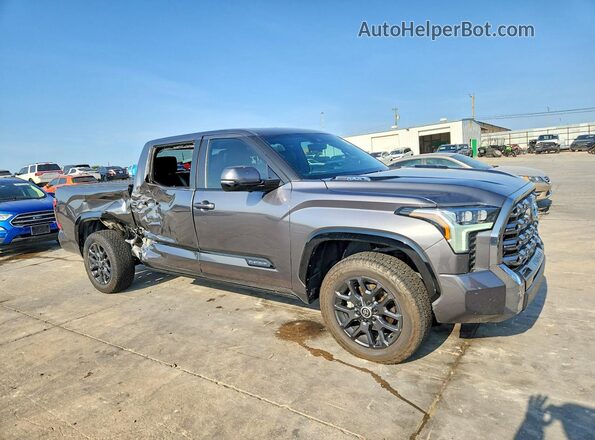 5TFNC5DB3RX047131 2024 TOYOTA TUNDRA Gray Delantero derecho