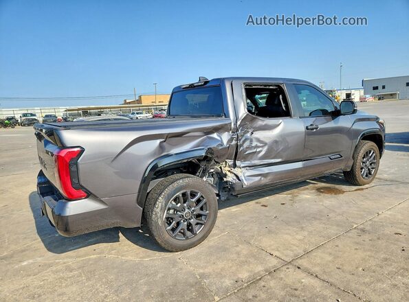 5TFNC5DB3RX047131 2024 TOYOTA TUNDRA Gray Trasero derecho