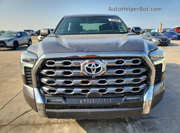 5TFNC5DB3RX047131 2024 TOYOTA TUNDRA Gray Vista frontal